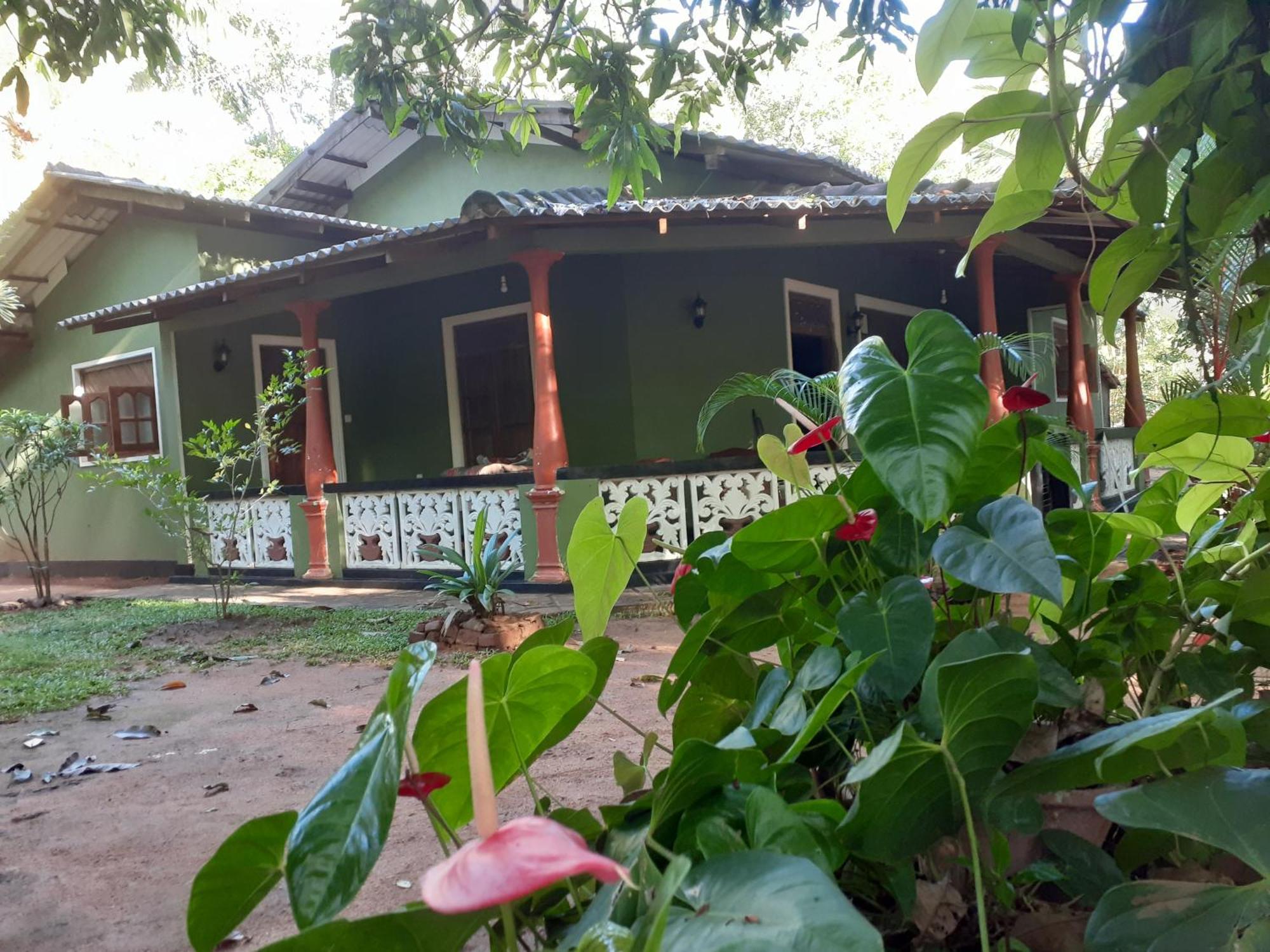 Green Bamboo House Sigiriya Exterior photo