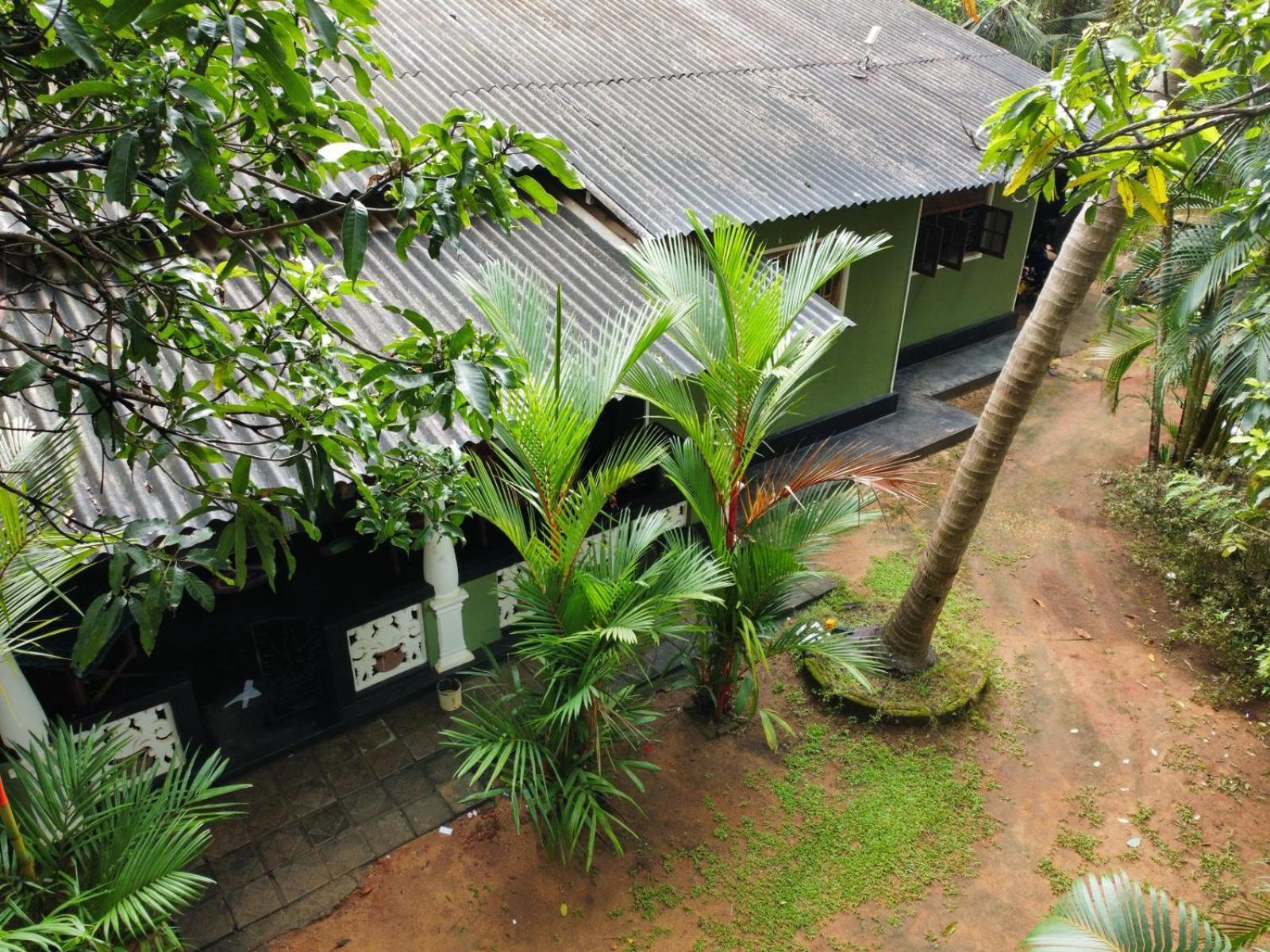 Green Bamboo House Sigiriya Exterior photo
