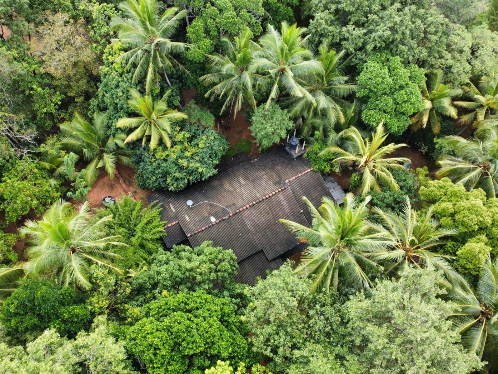 Green Bamboo House Sigiriya Exterior photo